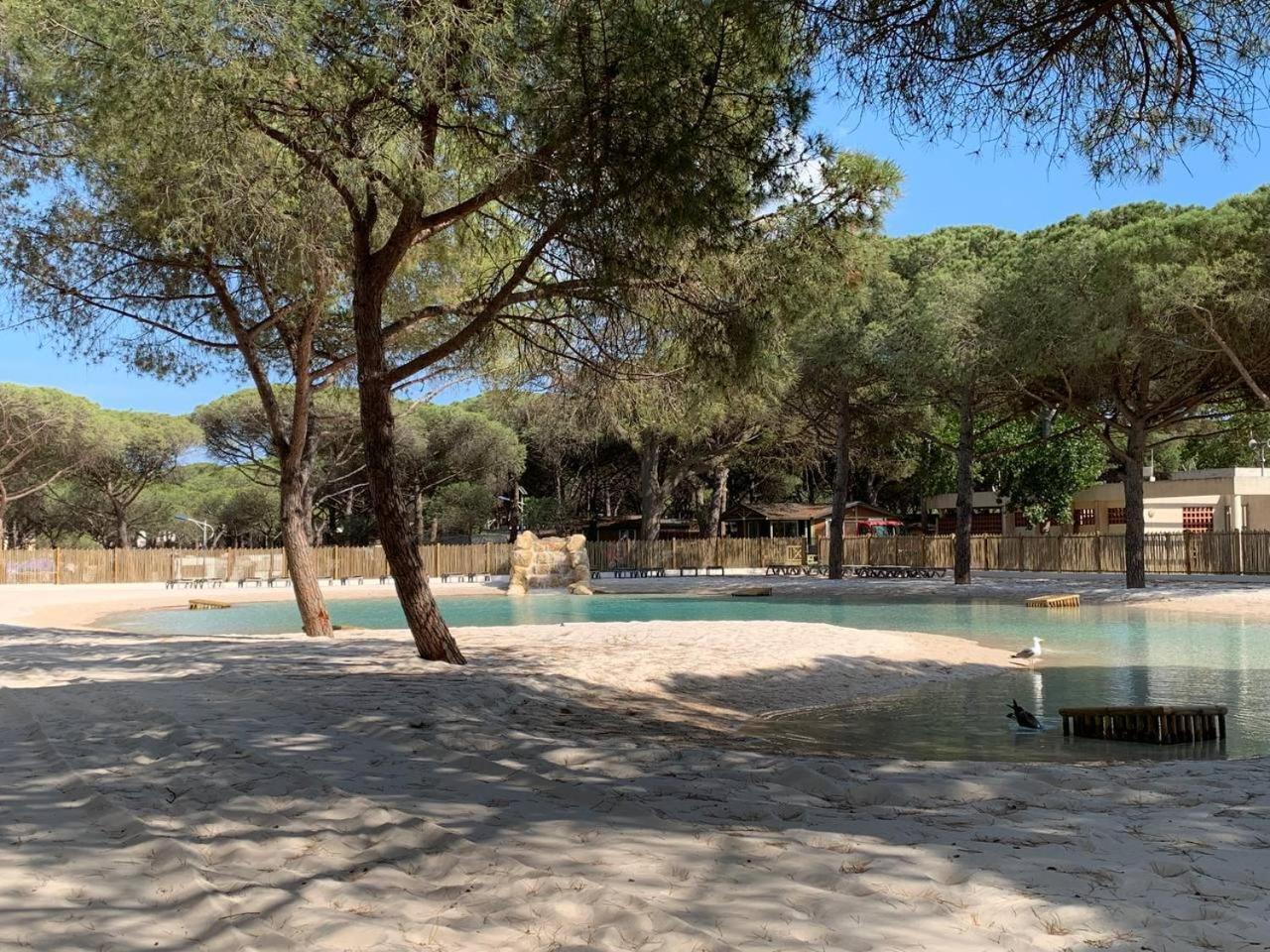 Camping la Tama Agde Exterior foto